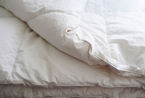 リフォームのメリット・買い替え時期